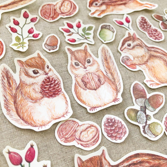 リスと木の実 フレークシール 2枚目の画像