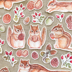 リスと木の実 フレークシール 1枚目の画像