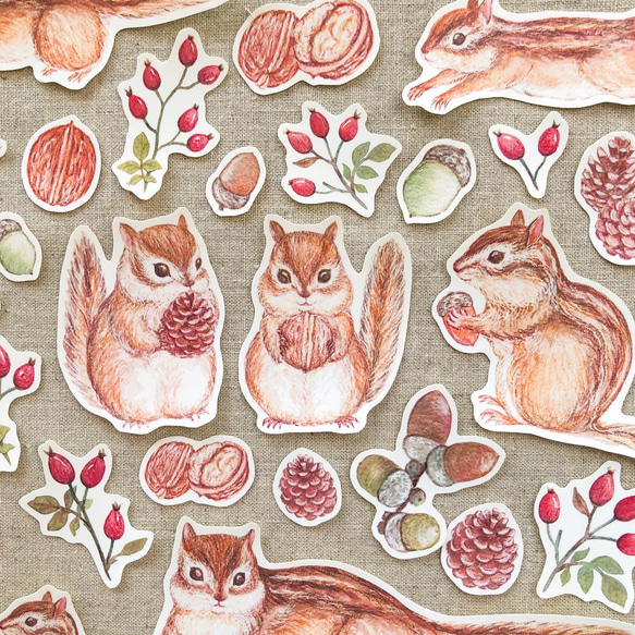 リスと木の実 フレークシール 1枚目の画像