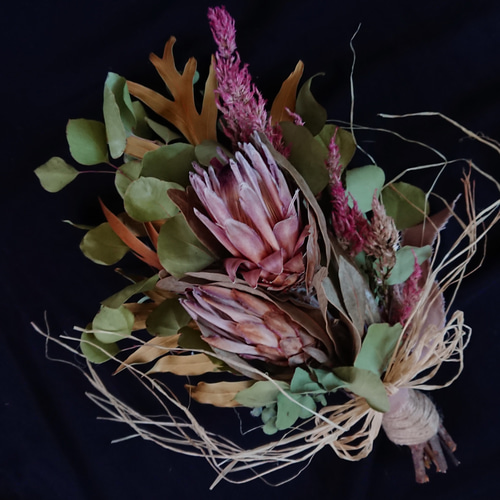 ドライフラワー★大きめネイティブリース★プロテア　アイバンホー　グレビレア ドライフラワー グレビレア アイバンホー 2本セット ドライフラワー