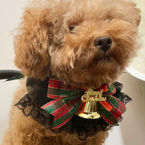 犬用猫用ペット用クリスマスチョーカーアクセサリー ペット服