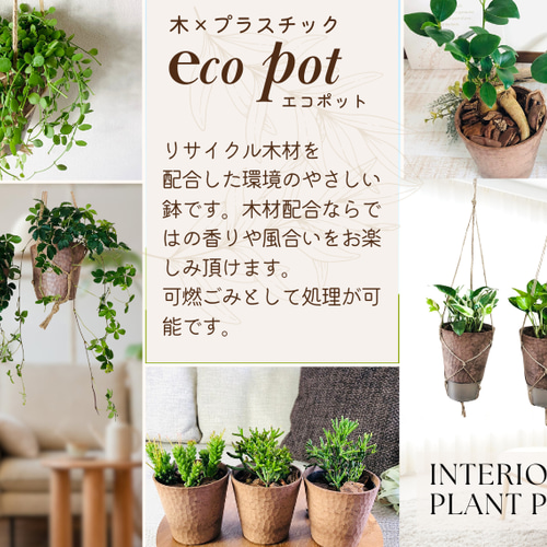 【専用商品】 観葉植物5点セット 大人気】観葉植物5点セット ガジュマル ポトスアイビー シュガーバイン