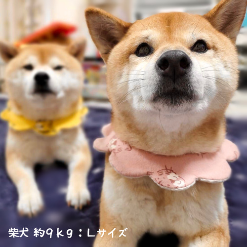 犬スタイ　ビブ　 クリスマス柄 ① ② ③ ④ ⑥ 犬スタイ用 クリスマス柄 ① ② ③ ④ ⑥（ペット用スタイ