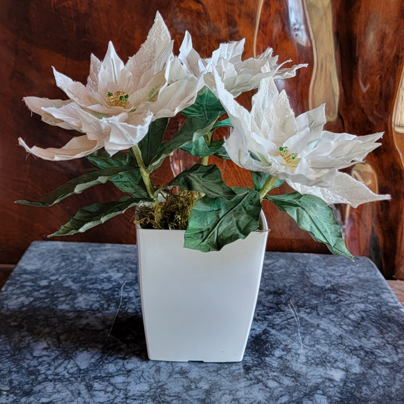 白いポインセチア　鉢植え風 　布花 （正絹） 18枚目の画像