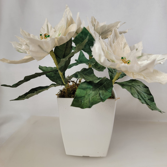 白いポインセチア　鉢植え風 　布花 （正絹） 9枚目の画像