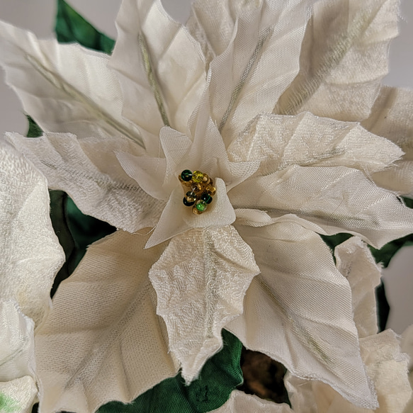 白いポインセチア　鉢植え風 　布花 （正絹） 13枚目の画像