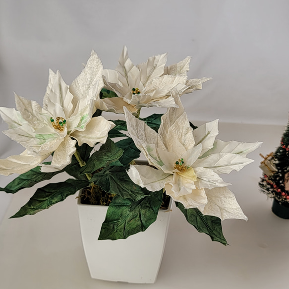 白いポインセチア　鉢植え風 　布花 （正絹） 12枚目の画像