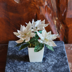 白いポインセチア　鉢植え風 　布花 （正絹） 7枚目の画像