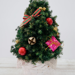 プリザーブド　ヒムロスギのクリスマスツリー 2枚目の画像