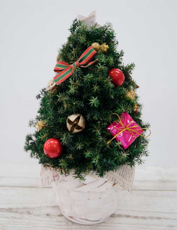 プリザーブド　ヒムロスギのクリスマスツリー 2枚目の画像