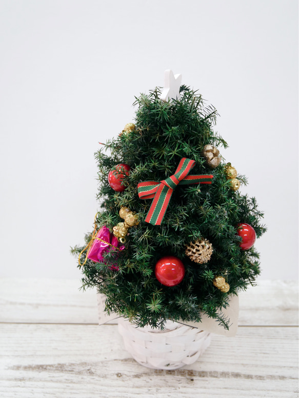 プリザーブド　ヒムロスギのクリスマスツリー 3枚目の画像