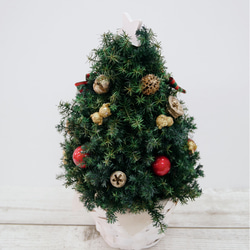 プリザーブド　ヒムロスギのクリスマスツリー 4枚目の画像
