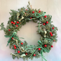 送料込】コニファーのクリスマスリース☆土台にも♪ ドライフラワー