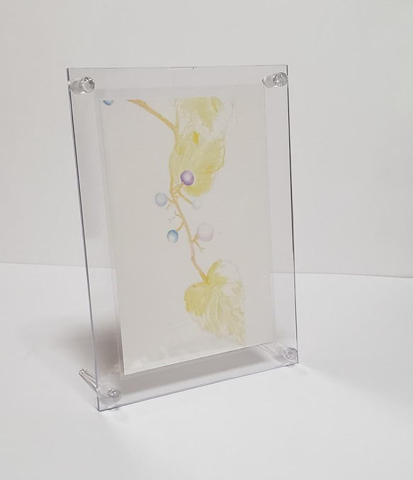 山野草のポストカードセット -yasou- 1枚目の画像