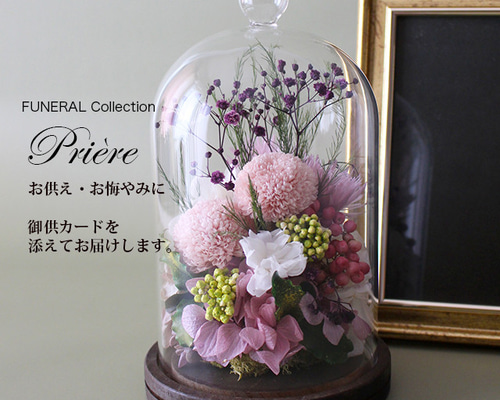 d03a31574926043f00e4242f04b0f8