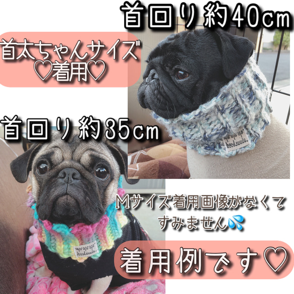 【Ｍサイズ小型犬用】伸縮性バツグン!!犬用ネックウォーマー☆ホワイトカラフルmix☆小型犬サイズ 2枚目の画像