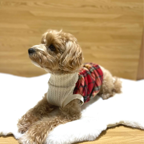 犬服！チェックボア×ケーブルニットタートル 袖なし 全2色⭐︎XS