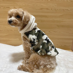 犬服・アクセサリー mebameba ac17c05977228f875eab40b67695a3