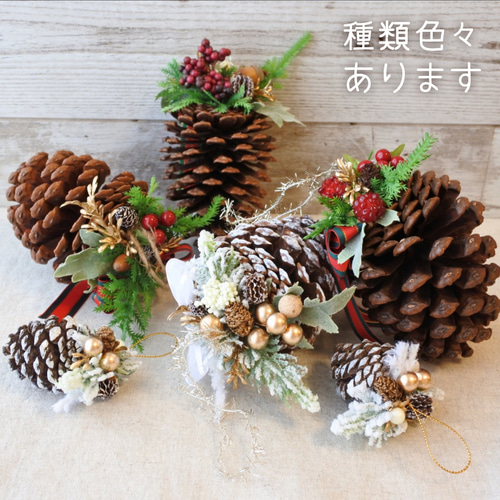 大きな松ぼっくり(14cmサイズ•7個 11cmサイズ•11個) クリスマス