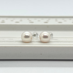 Odama 白金單顆珍珠耳環 9-9.5mm Akoya 珍珠耳釘 pt900（白金 900） 耳環接受 第1張的照片