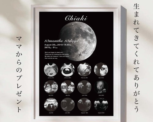 MOONー月ー】データ付き エコー写真ポスター／セミオーダー／データ 