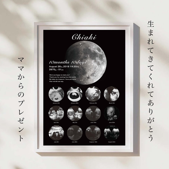 MOONー月ー】データ付き エコー写真ポスター／セミオーダー／データ 