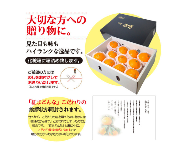 【予約】【送料無料】紅まどんな〈秀品〉約３kg　※12月上旬より順次発送開始予定 3枚目の画像