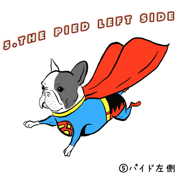 【文字変更】スーパーブヒ　グレースウェット 親子コーデ　ロゴ 9枚目の画像
