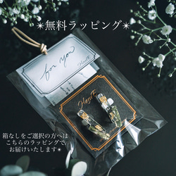 【コフレ】デルフィニウムの花びらの雫✴︎ピアス・イヤリング&ネックレス 13枚目の画像