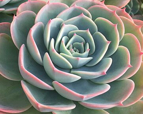 eb044751c9c7c89ebadf8a8dbb32fe