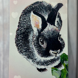 うさぎの絵画 模写 モチーフ[デューラー 野うさぎ]同柄ポストカード3枚