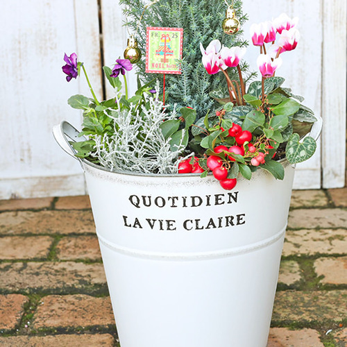 値下げしまた クリスマスツリー花寄せ植え コニファー 値下げしまた クリスマスツリー花寄せ植え コニファー