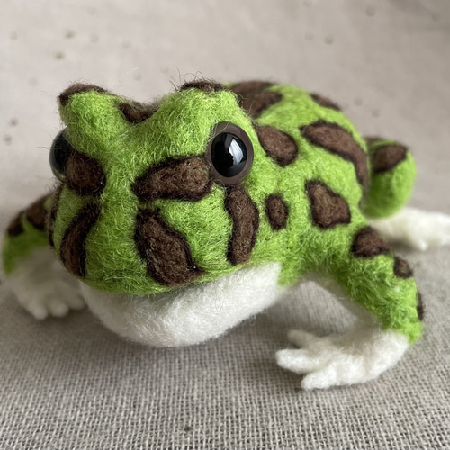 カエルメジャー ツノガエル三男 羊毛フェルト verdigris 通販 14988601