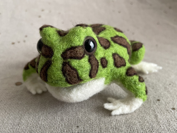 カエルメジャー ツノガエル三男 羊毛フェルト verdigris 通販 14988601