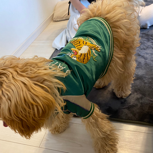 犬服 スカジャン グリーン ペット服・アクセサリー ネックプロダクツ