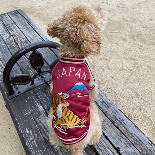 カリフォルニア刺繍犬服 Mサイズ 犬用スカジャン 【公式通販】