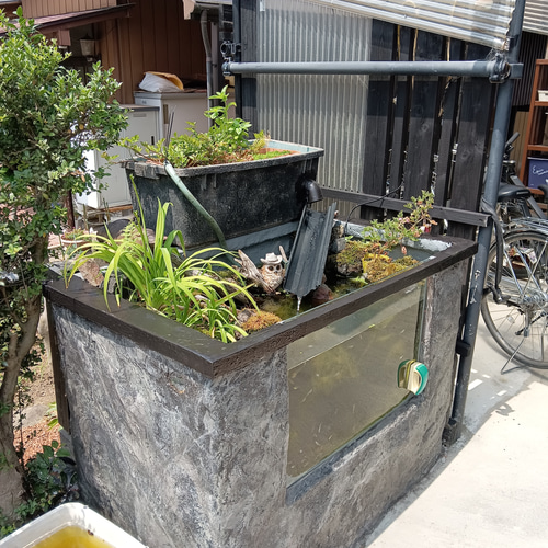 大型水槽 オーダーメイド 屋外用 ハウス・小屋 もただ 通販 14988990 