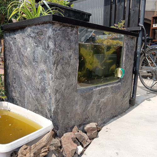 大型水槽 オーダーメイド 屋外用 ハウス・小屋 もただ 通販 14988990 