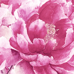 優雅花卉牡丹現代時尚香水室內海報外國藝術/2266 第8張的照片