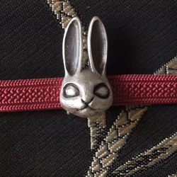 兔子奧比多姆 第1張的照片