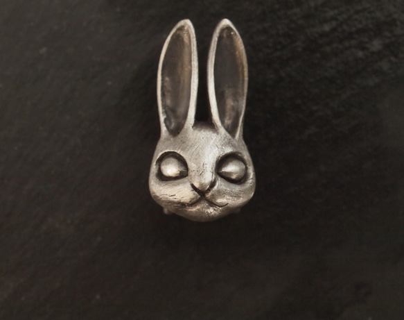 兔子奧比多姆 第3張的照片