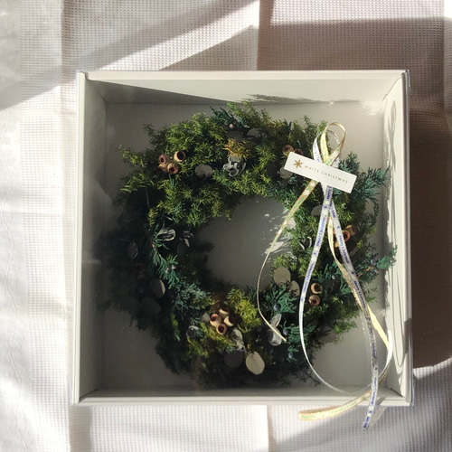 27cm グリーングリーングリーンークリスマスリース プリザーブド