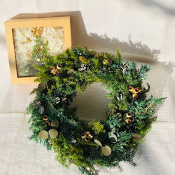 ab08eefc63e253ea621707d67af61b