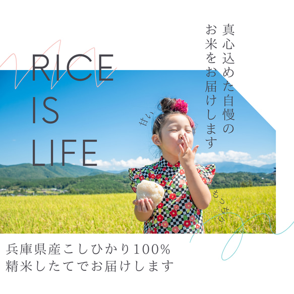 【ご挨拶プチギフト】産休 席札 移動 結婚 引き菓子 引越し お返し 挨拶 こしひかり 福結び 19枚目の画像