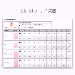 ネイルチップ★BLANCHE★上品マグネット冬ネイル 2枚目の画像