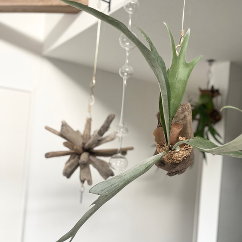 オブジェ 置物 流木アート 流木オーナメント オーナメント 流木インテリア 流木オブジェ