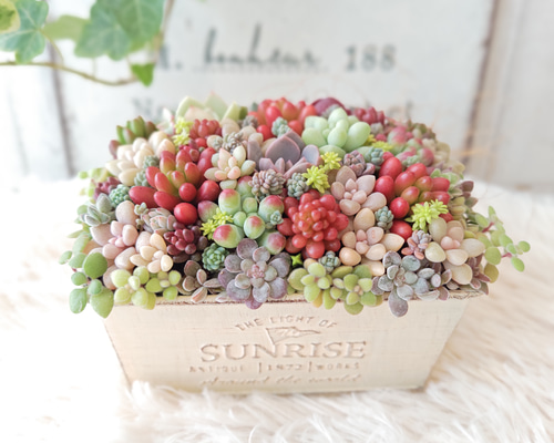 21cd7324a37e0ec761626cae27ae9a