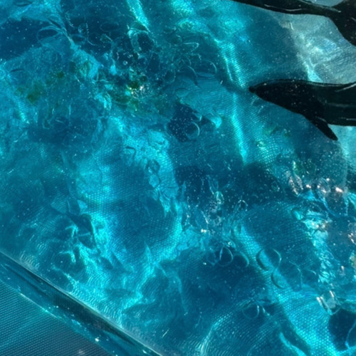 新作 インテリアアートブロック エメラルドブルーの海とペン アの