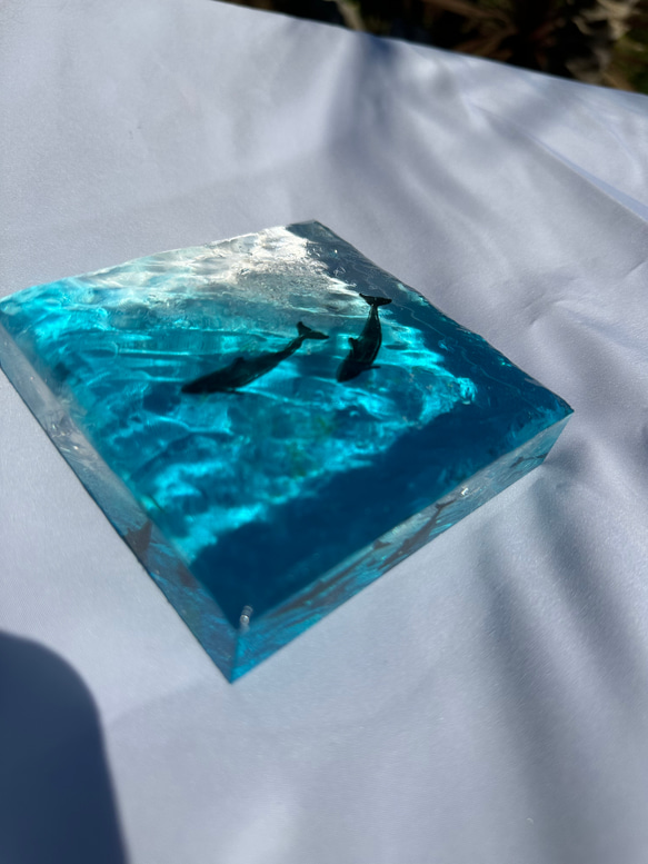 新作　インテリアアートブロック　エメラルドブルーの海とペン　アのイルカ　スケルトン海 6枚目の画像
