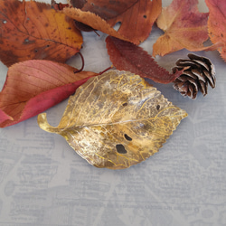 真鍮夕方5時の落葉ヘアクリップ　秋の花 1枚目の画像